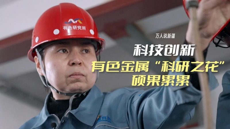 农村信息化建设：代理加盟的机遇与挑战**